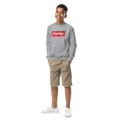 Cartsy Box Logo Kids Christmas Sweatshirt in Sport Grey (front view)